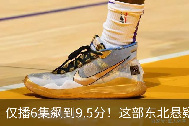 仅播6集飙到9.5分！这部东北悬疑剧凭什么封神